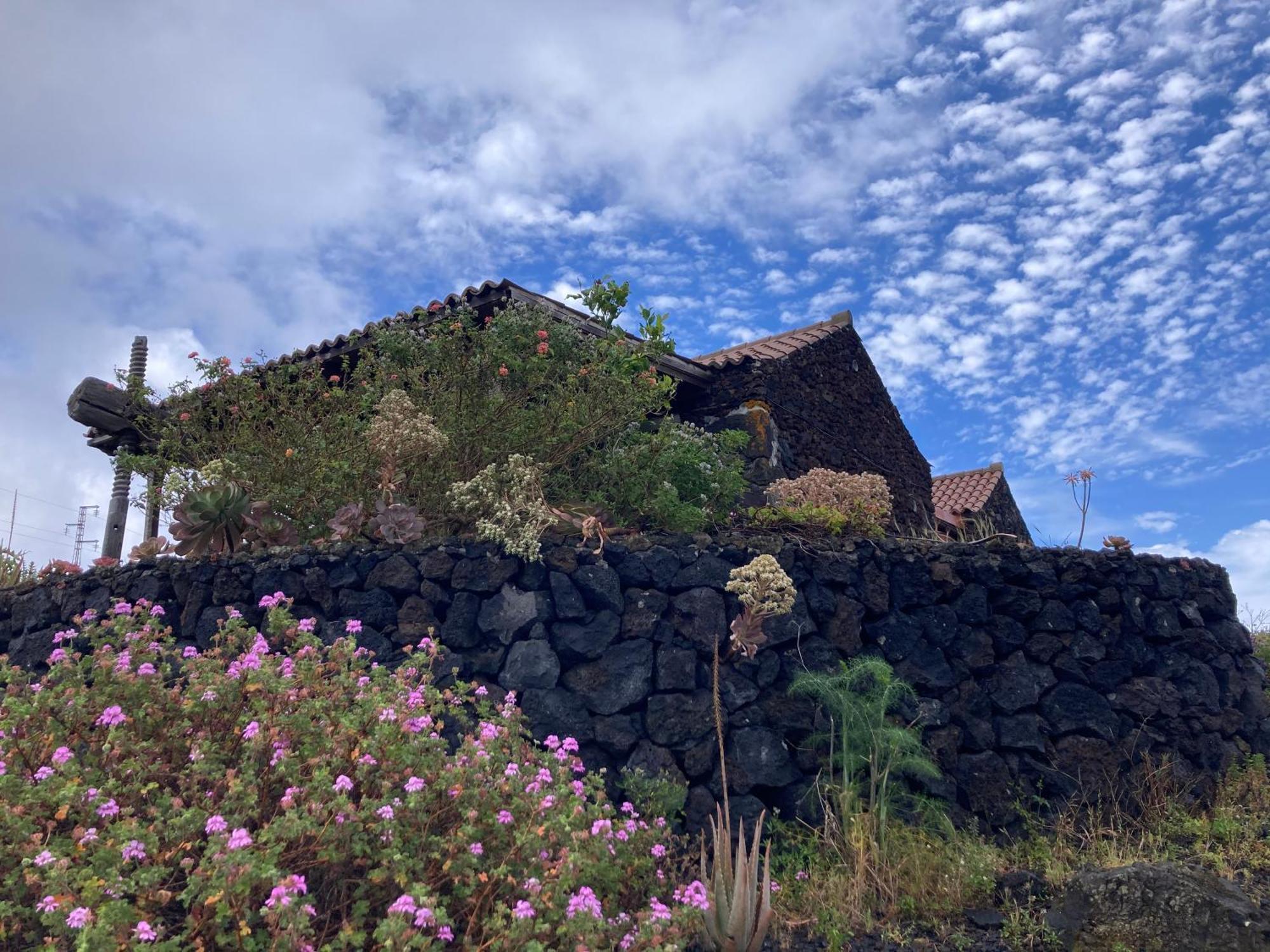 La Casa Del Volcan Las Indias Bagian luar foto